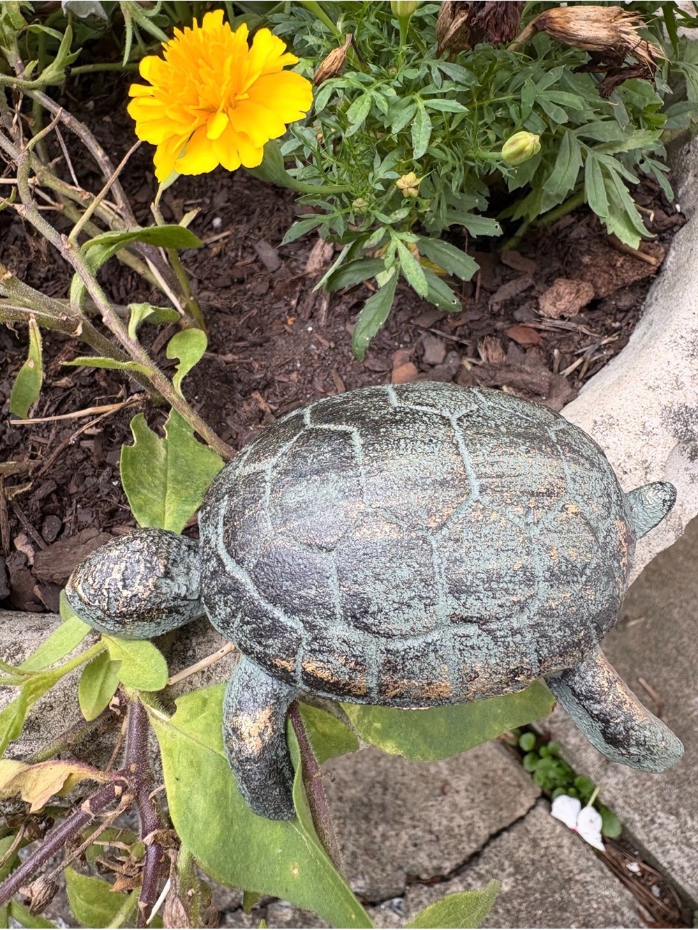 Decorative Garden Turtle Statue in Weathered Green